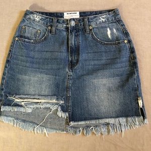 One x One Teaspoon Denim Skirt